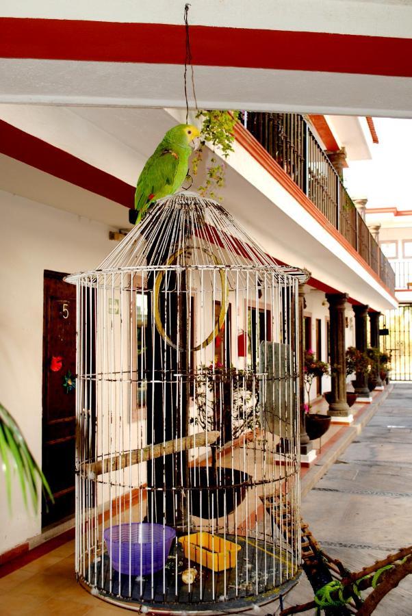 Hotel Maya 2012 Amacuzac Exteriér fotografie